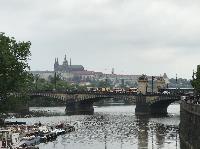 IMG_8751.JPG