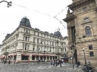 IMG_8861.JPG