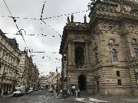 IMG_8949.JPG