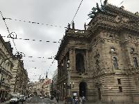 IMG_8954.JPG