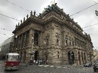 IMG_8969.JPG