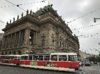 IMG_8973.JPG