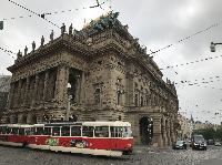 IMG_8976.JPG
