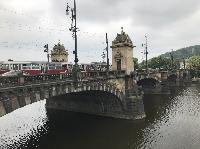IMG_8995.JPG