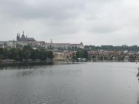 IMG_9010.JPG