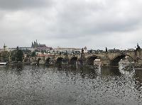 IMG_9093.JPG