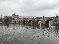 IMG_9094.JPG
