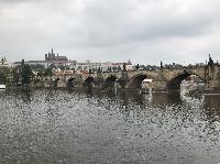 IMG_9095.JPG