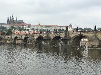 IMG_9099.JPG