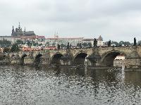 IMG_9102.JPG