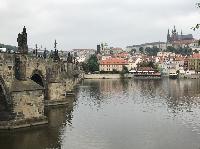 IMG_9131.JPG