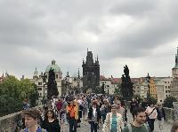 IMG_9265.JPG
