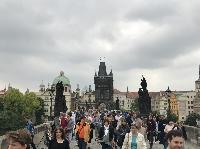 IMG_9266.JPG