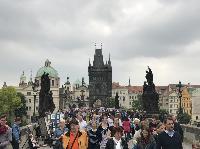 IMG_9271.JPG