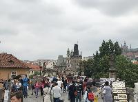IMG_9325.JPG