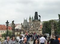 IMG_9376.JPG