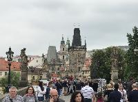 IMG_9377.JPG