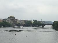 IMG_9379.JPG