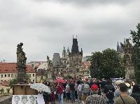 IMG_9381.JPG