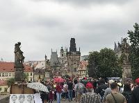 IMG_9382.JPG