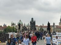 IMG_9384.JPG