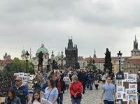 IMG_9385.JPG
