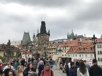 IMG_9396.JPG