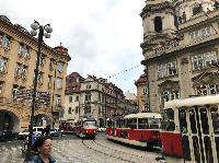 IMG_9486.JPG