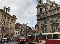 IMG_9492.JPG