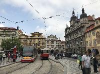 IMG_9519.JPG