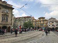 IMG_9559.JPG