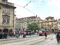 IMG_9563.JPG