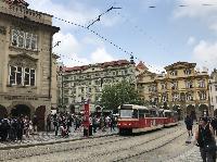 IMG_9568.JPG