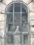 IMG_9590.JPG