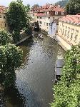 IMG_9592.JPG