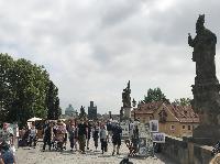 IMG_9599.JPG