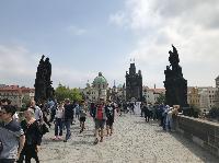 IMG_9628.JPG