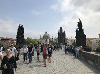 IMG_9630.JPG