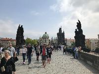 IMG_9631.JPG