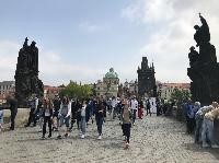 IMG_9635.JPG