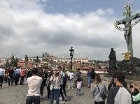 IMG_9638.JPG