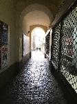 IMG_9761.JPG