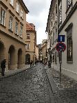 IMG_9781.JPG