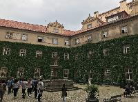 IMG_9800.JPG
