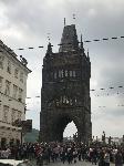 IMG_9810.JPG