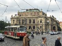 IMG_9832.JPG