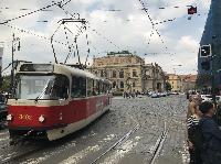 IMG_9837.JPG