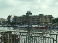 IMG_9855.JPG