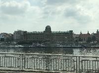 IMG_9861.JPG
