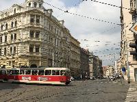 IMG_9873.JPG
